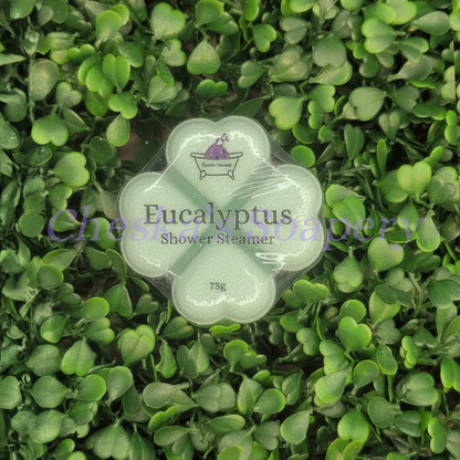 Shower Steamer Eucalyptus