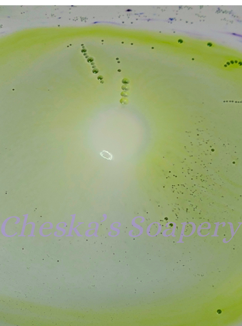 Monster Frankie - Bath Bomb