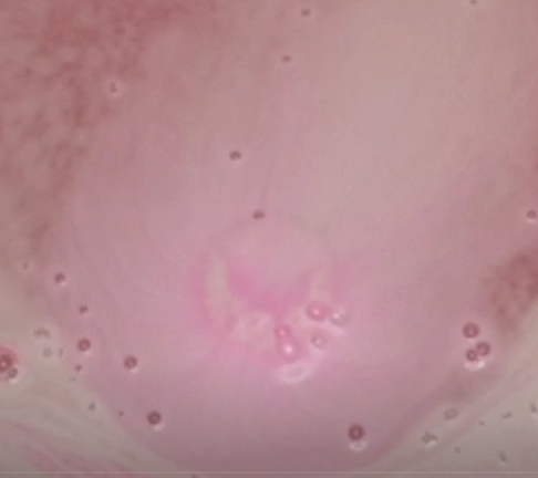 Monster Strawbz - Bath Bomb